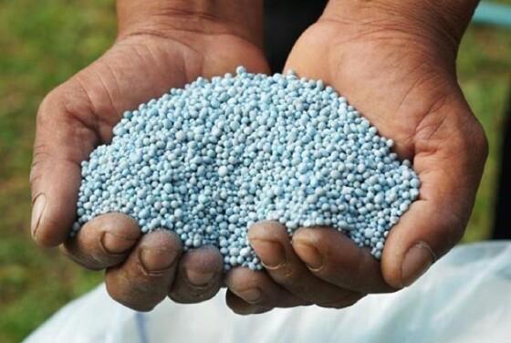 FALSIFICAÇÃO DE FERTILIZANTES NO BRASIL